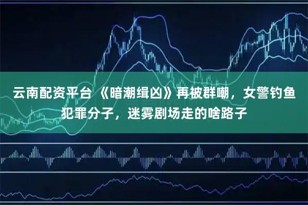 云南配资平台 《暗潮缉凶》再被群嘲，女警钓鱼犯罪分子，迷雾剧场走的啥路子